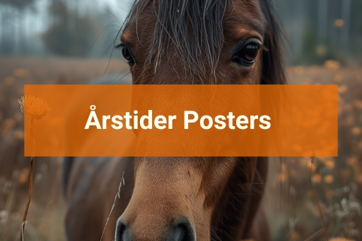 Årstider Posters