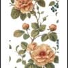 Blommor 3 Poster Blommor Rosor Äldre stil – Alla posters Roosmark av Caroline Roosmark