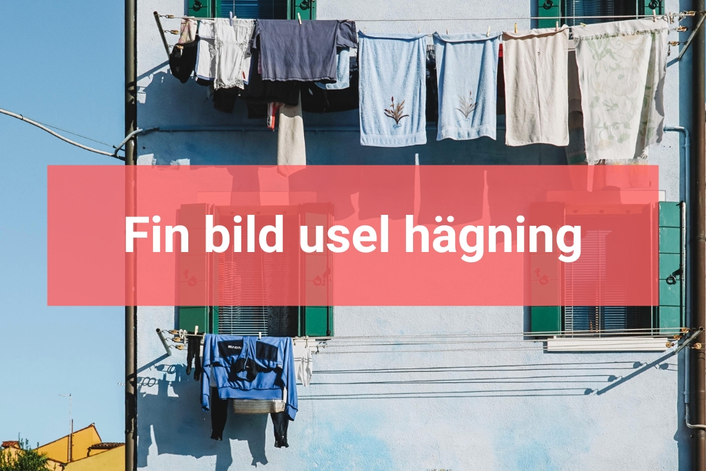 Fin bild usel hägning Styla om med vackra posters
