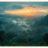 Boreno Regnskog Roosmark Collection Arizona Grand Canyon Poster – Alla posters Roosmark av Caroline Roosmark