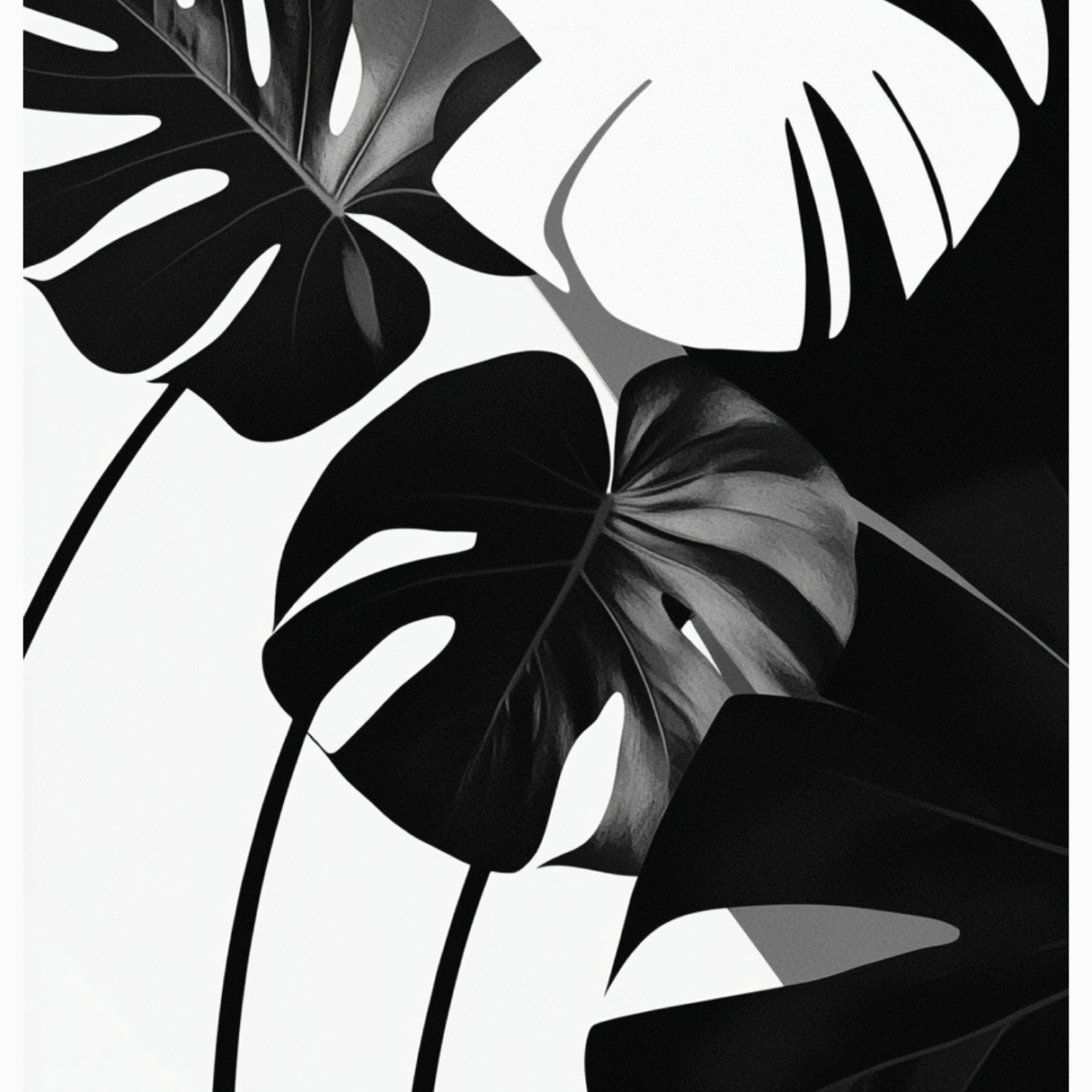 Monstera svartvit Poster