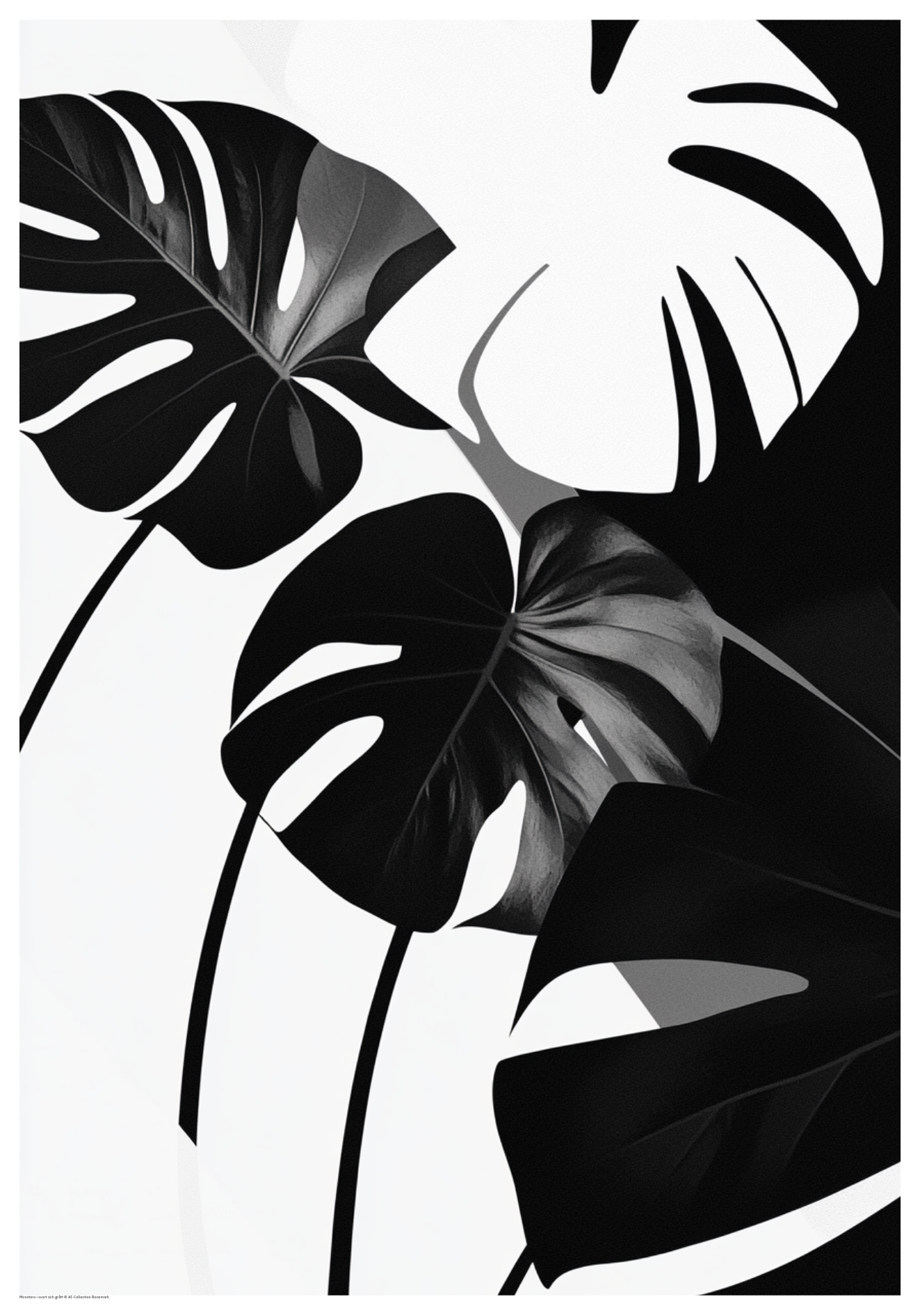 Monstera svartvit Poster