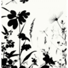 Sländor och Blommor Poster Sländor och Blommor Poster – Alla posters Roosmark av Caroline Roosmark