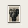 Afrikansk Elefant Svartvit – poster i ram på vägg Afrikansk Elefant Svartvit poster i ram på vägg