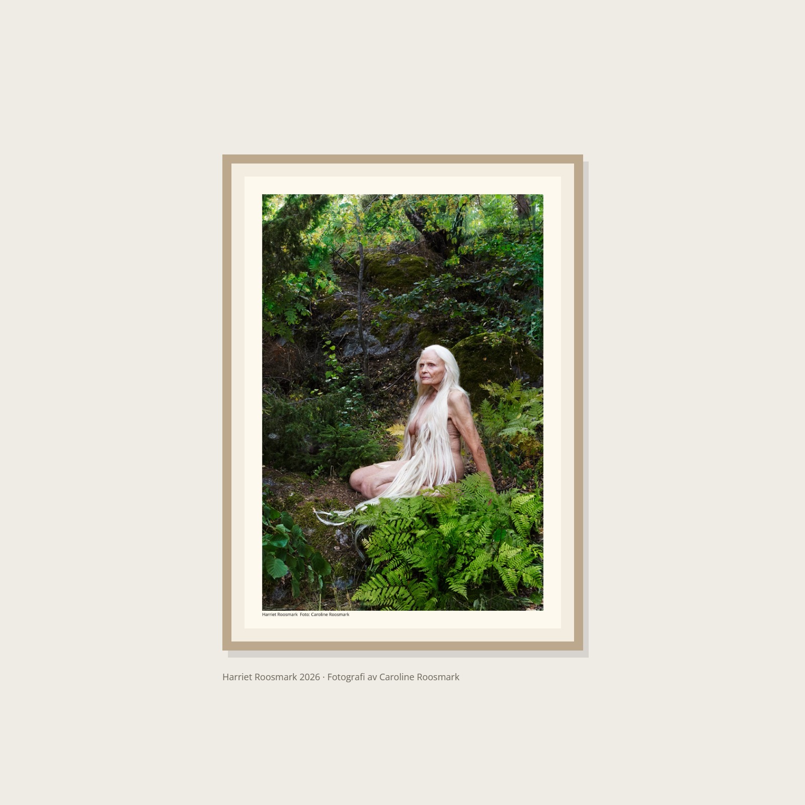 Harriet Roosmark Poster – Alla posters Roosmark av Caroline Roosmark