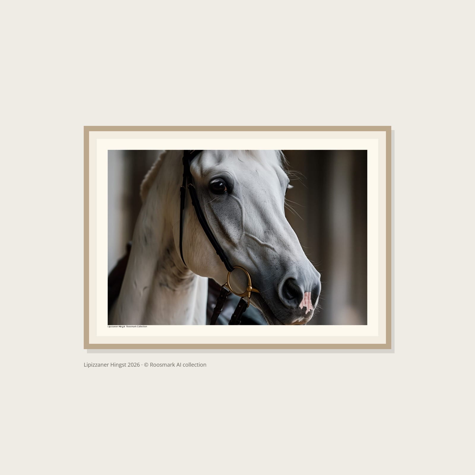 Lipizzaner Häst i närbild CRC Lipizzaner Hingst Poster – Alla posters Roosmark av Caroline Roosmark