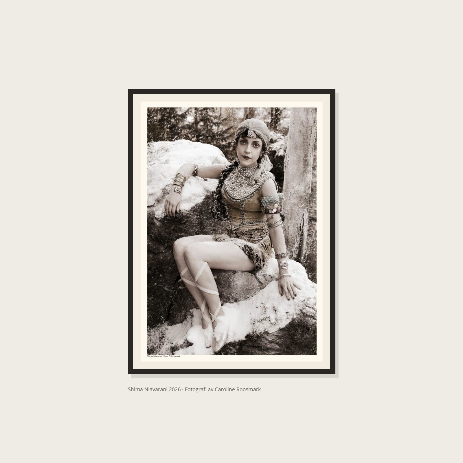 Shima Niavarni CR (3) Shima Niavarani Poster – Alla posters Roosmark av Caroline Roosmark