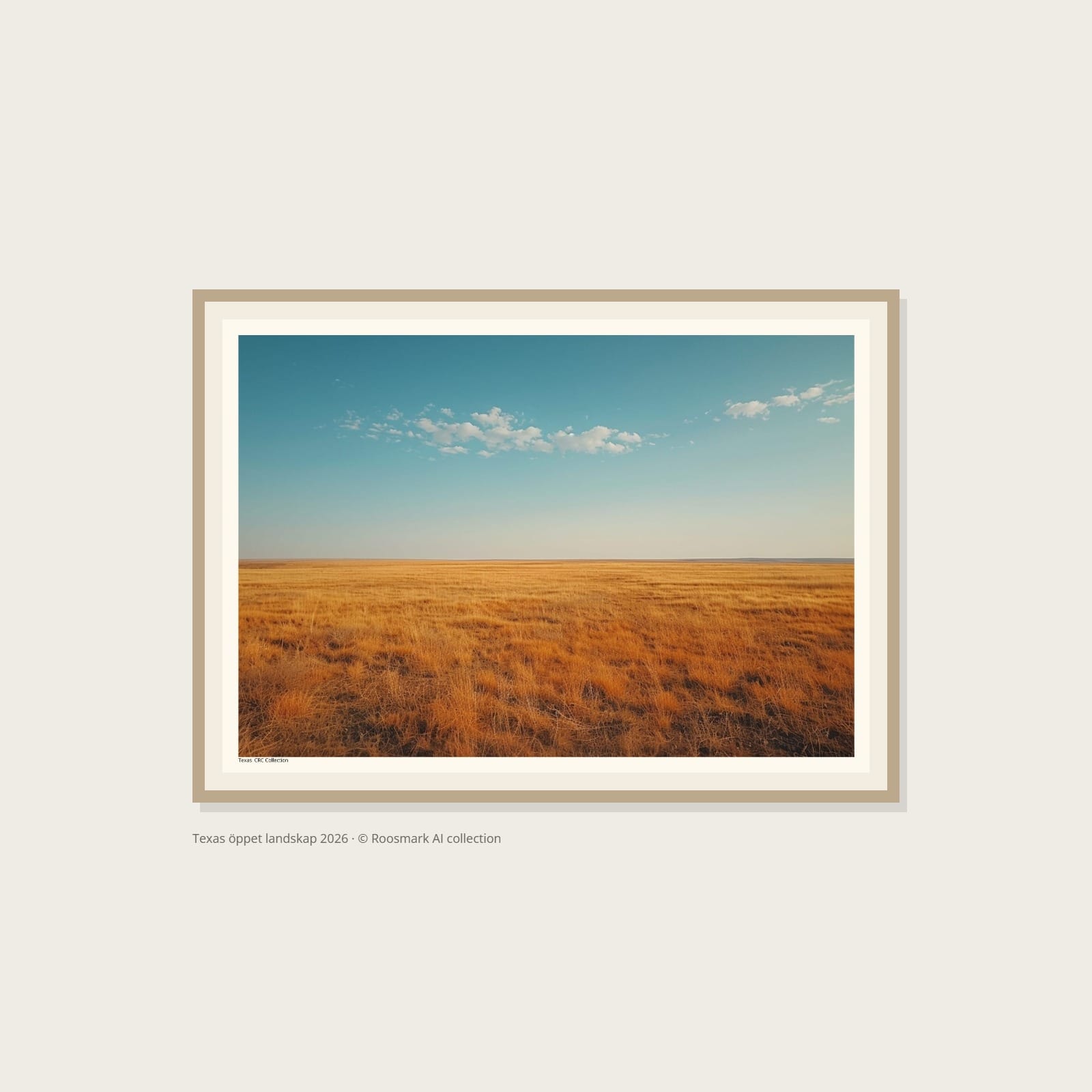 Texas öppet landskap Poster