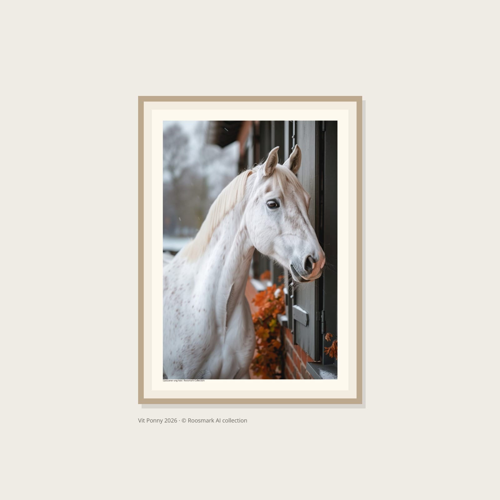 Lipizzaner ung häst CRC Vit Ponny Poster – Alla posters Roosmark av Caroline Roosmark