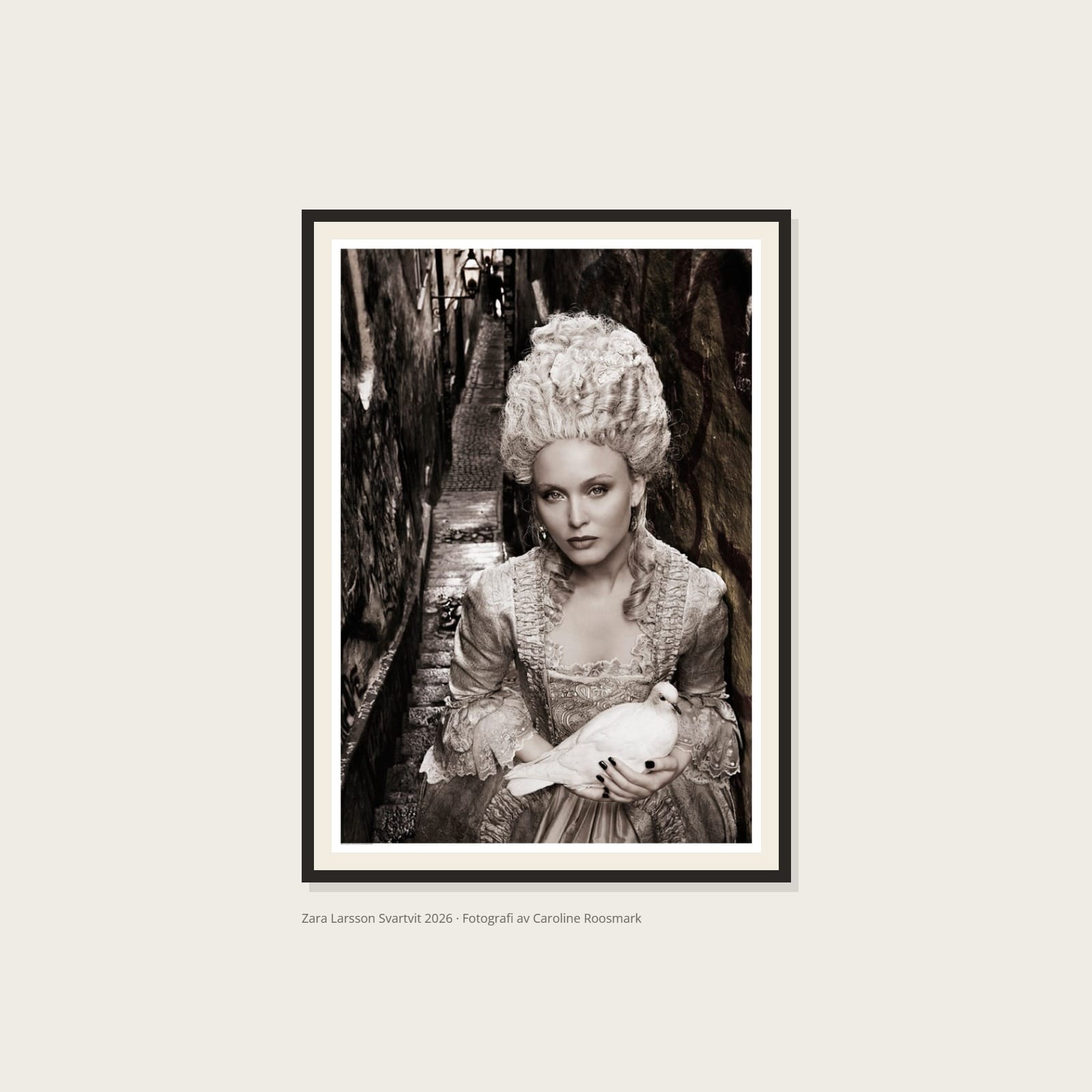 Zara Larsson Alla Posters Roosmark Zara Larsson Svartvit Poster