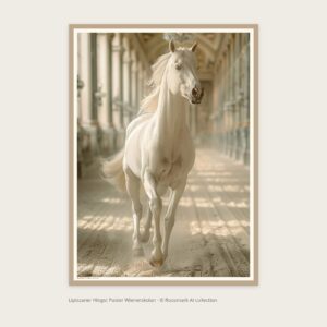 Lipizzaner Hingst Poster Wienerskolan