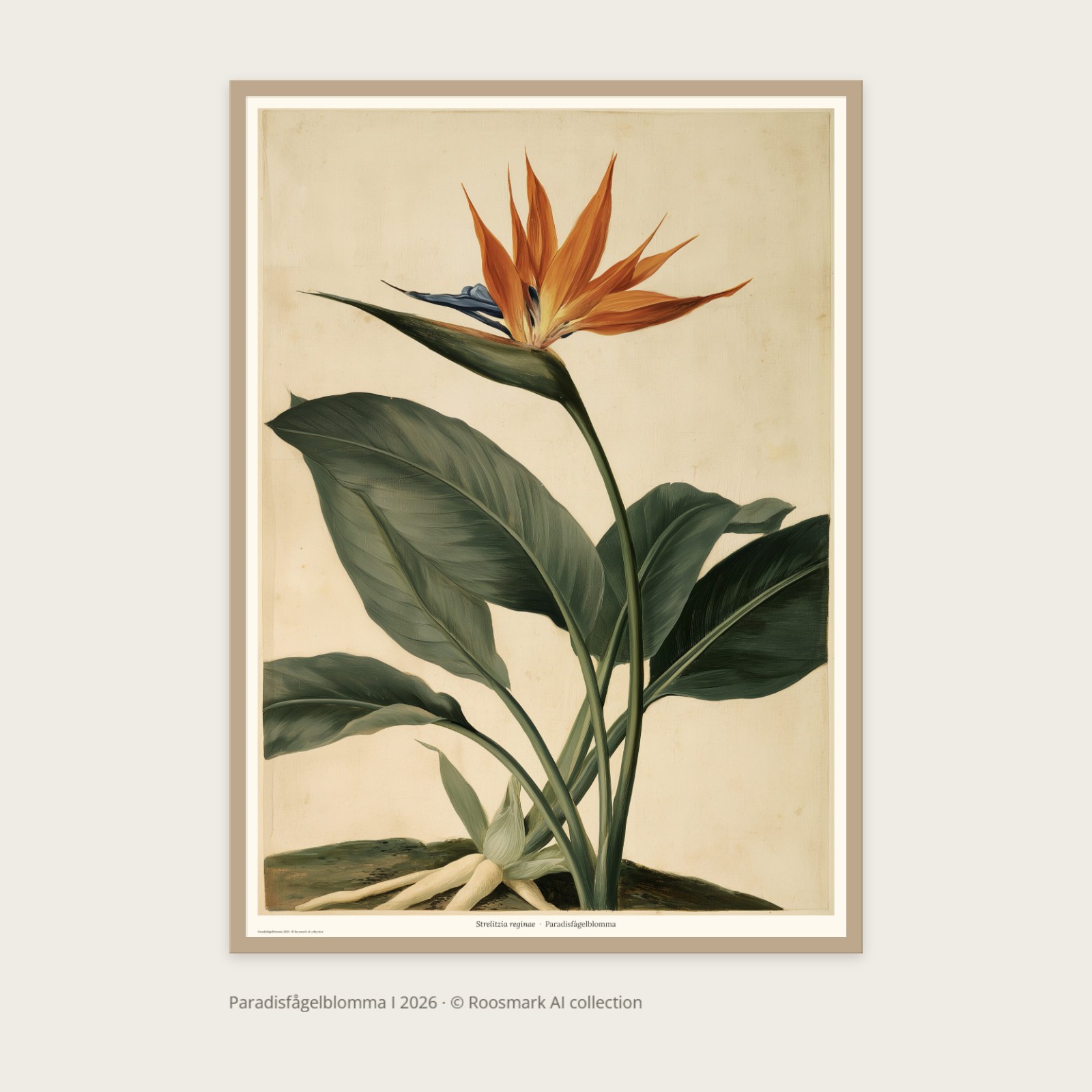 Paradisfågelblomma I