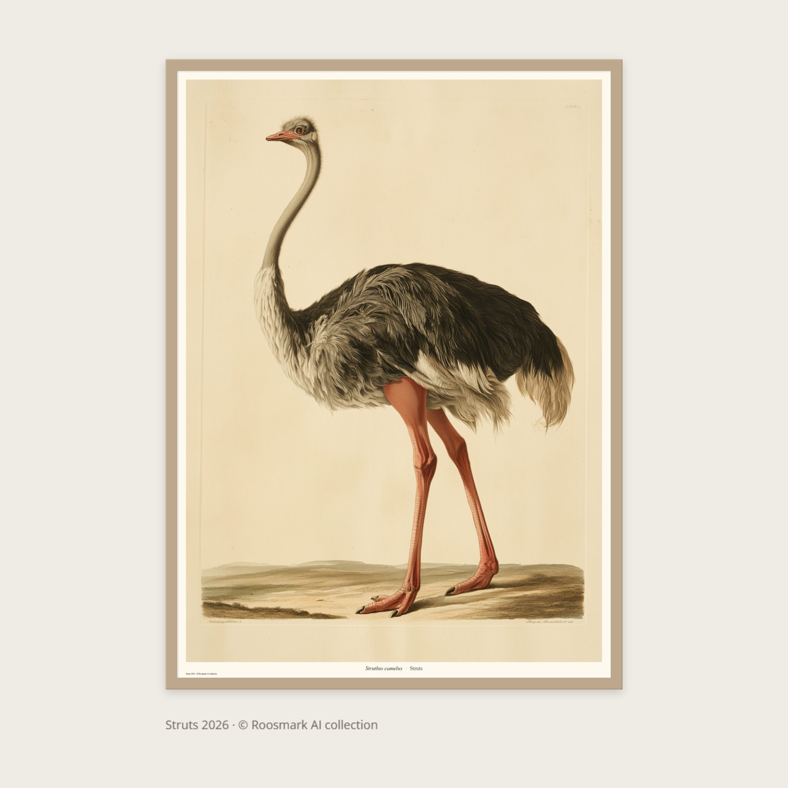 Struts – AI-posters av Caroline Roosmark